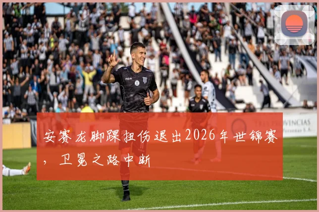 安赛龙脚踝扭伤退出2026年世锦赛,卫冕之路中断